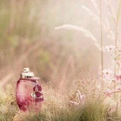 Coach Wild Rose EDP 50ML 2 Piece Set -Care Products 3386460138802 3