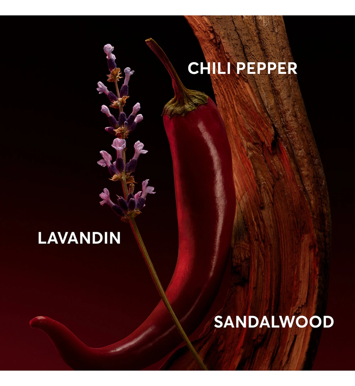 Hugo Boss The Scent Elixir For Him EDP 50ML 3 Hugo Boss The Scent Elixir For Him EDP 50ML - Image 3