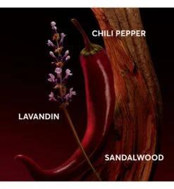 Hugo Boss The Scent Elixir For Him EDP 100ML -Care Products 3616305169204 2