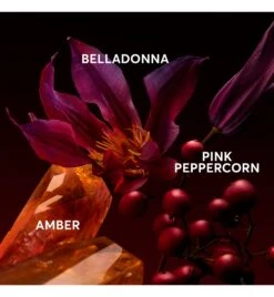 Hugo Boss The Scent Elixir For Her EDP 50ML -Care Products 3616305169228 2